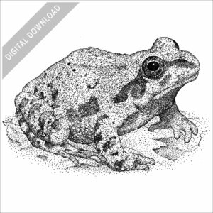 Illinois Chorus Frog