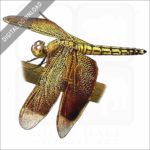 Red Percher Dragonfly stock image
