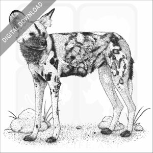 African Wild Dog stock art