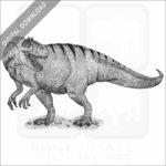 Allosaurus stock art image