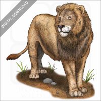 American Lion stock image