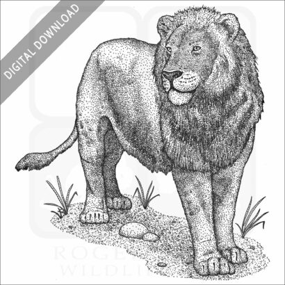 American Lion