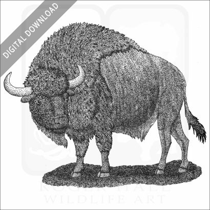 Ancient Bison
