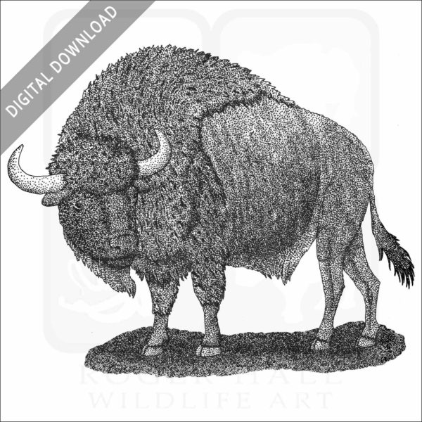Ancient Bison