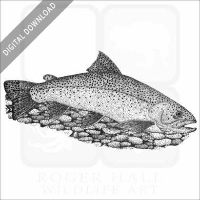 Apache Trout