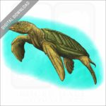 Giant Sea Turtle (Archelon) stock image