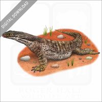 Argus Monitor stock image