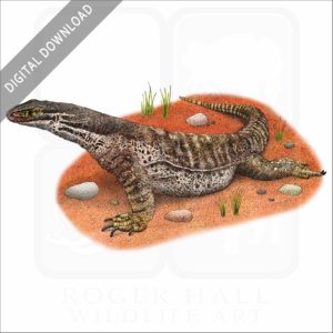Argus Monitor stock image