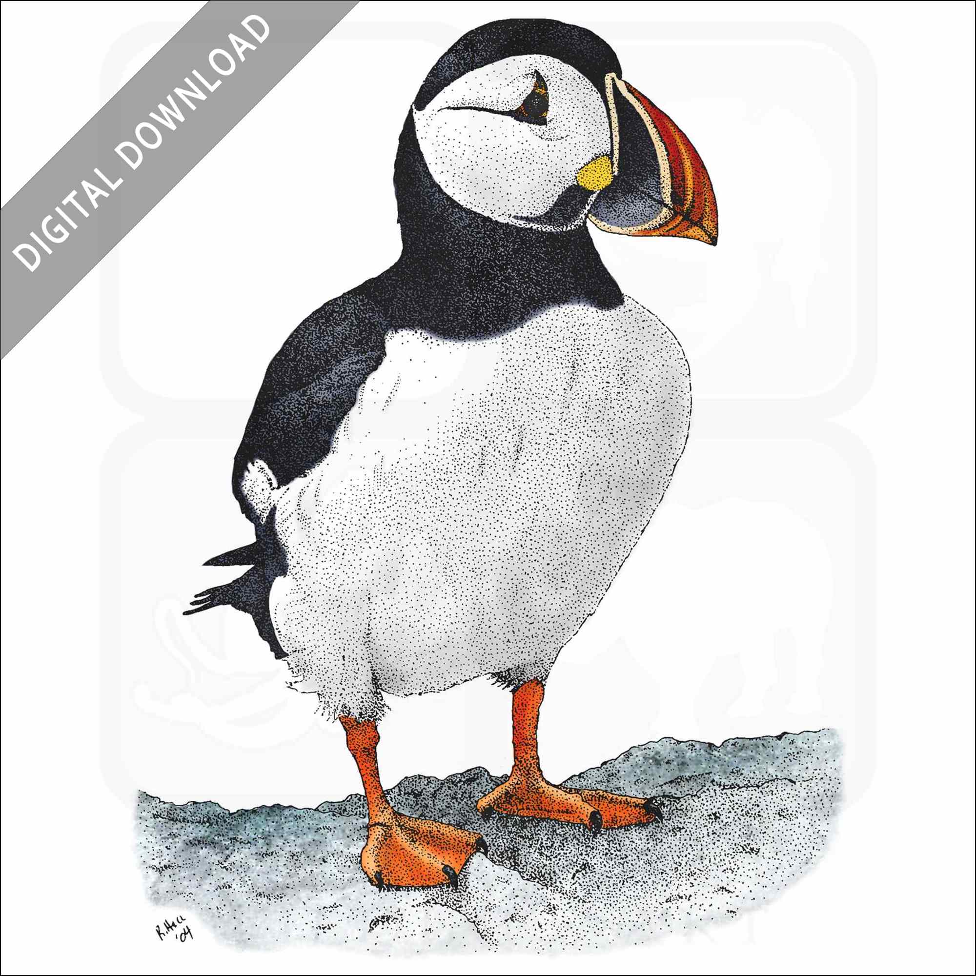 Stock Art Drawing Of An Atlantic Puffin Inkart Stock Art Drawing Of An Atlantic Puffin Inkart