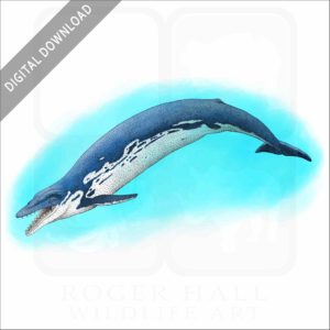 Basilosaurus stock image
