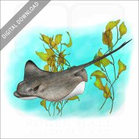 Bat Ray stock image