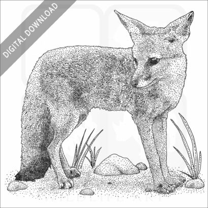 Bengal Fox