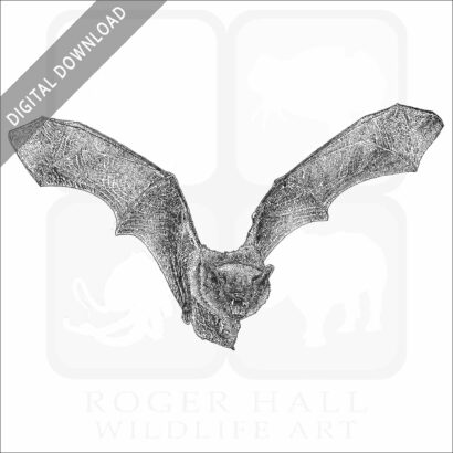 Big Brown Bat