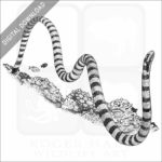 Black-Banded Sea Krait