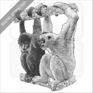 Black Crested Gibbons