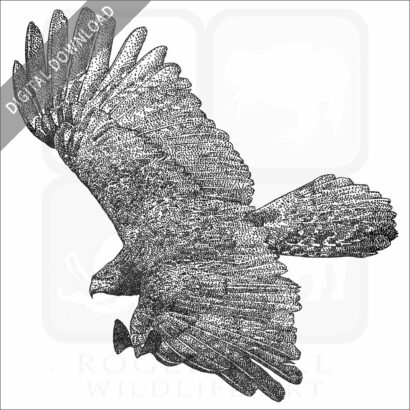 Black Eagle