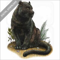 Black Panther stock image