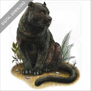 Black Panther stock image