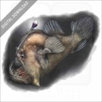 Black Seadevil stock image