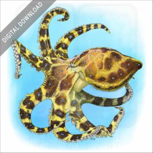Blue-Ringed Octopus stock image
