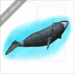 Bowhead Whale stock image
