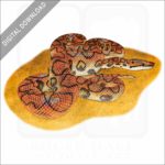 Brazilian Rainbow Boa stock image