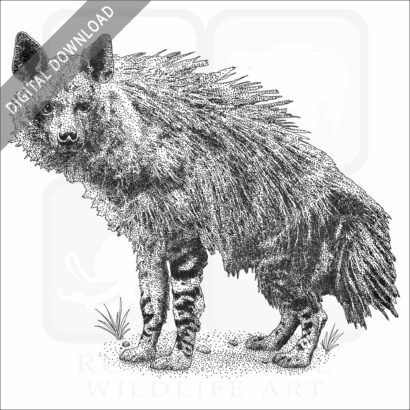 Brown Hyena