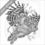 Buffy Fish Owl