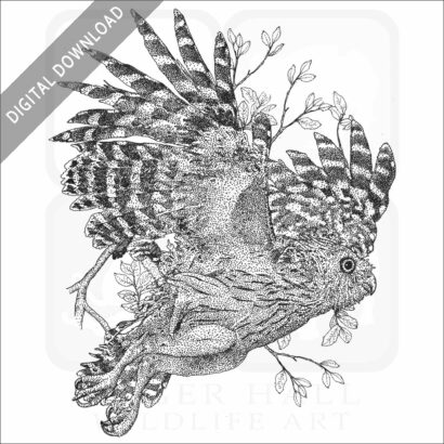 Buffy Fish Owl