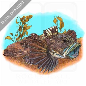 Cabezon stock image