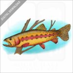 California Golden Trout stock image