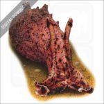 California Sea Hare stock image