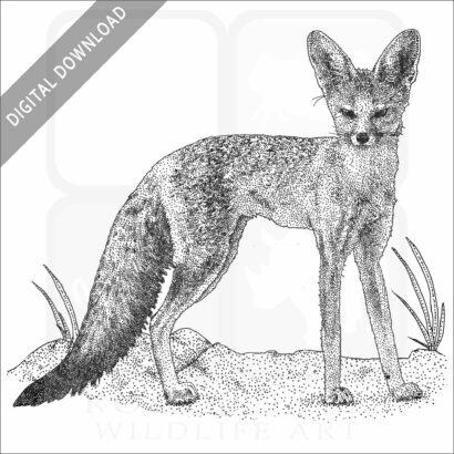 Cape Fox