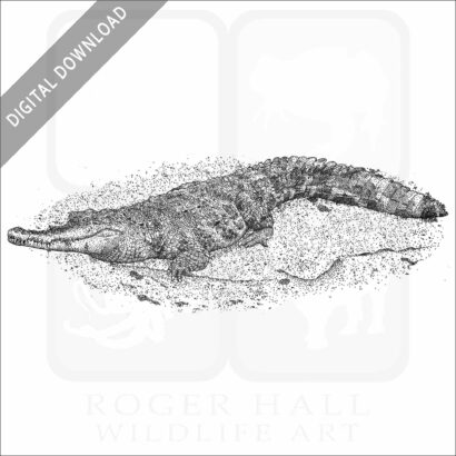 Central African Slender-Snouted Crocodile