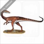 Coelophysis stock image