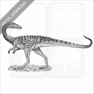 coelophysis