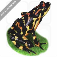 Costa Rican Variable Harlequin Toad stock image