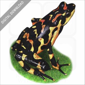 Costa Rican Variable Harlequin Toad stock image