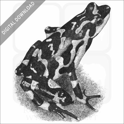 Costa Rican Variable Harlequin Toad
