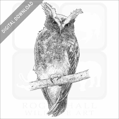 Crested Owl