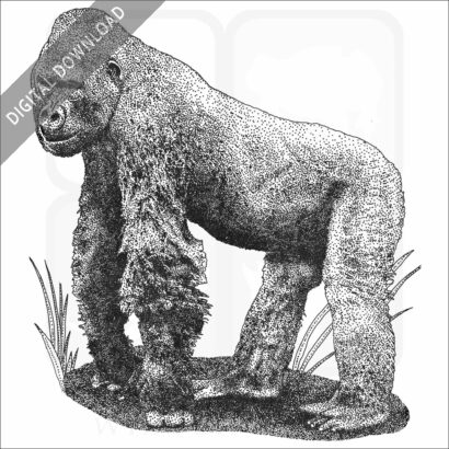Cross River Gorilla