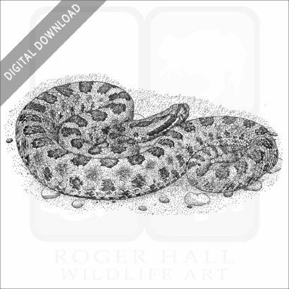 Desert Massasauga