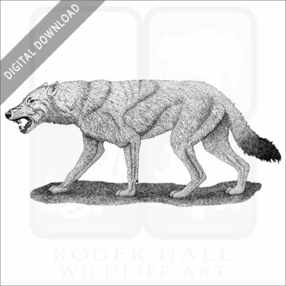 Dire Wolf