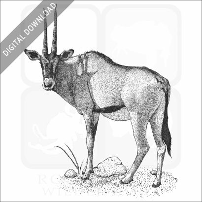 East African Oryx