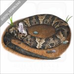 Cottonmouth stock image