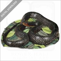 Eastern Indigo Snake stock image