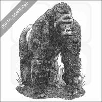Eastern Lowland Gorilla