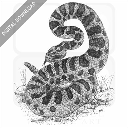 Eastern Massasauga