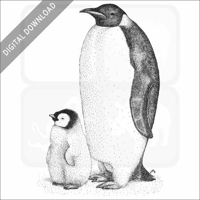 Emperor Penguin stock image