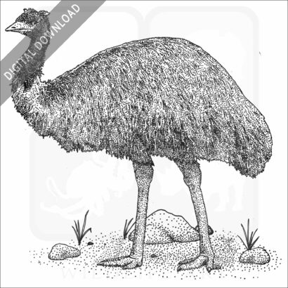 Emu